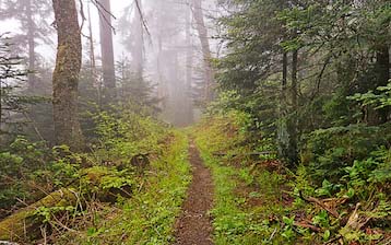 Nature Trails