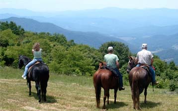 Next To Heaven Stables